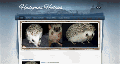Desktop Screenshot of hudymashedgies.com